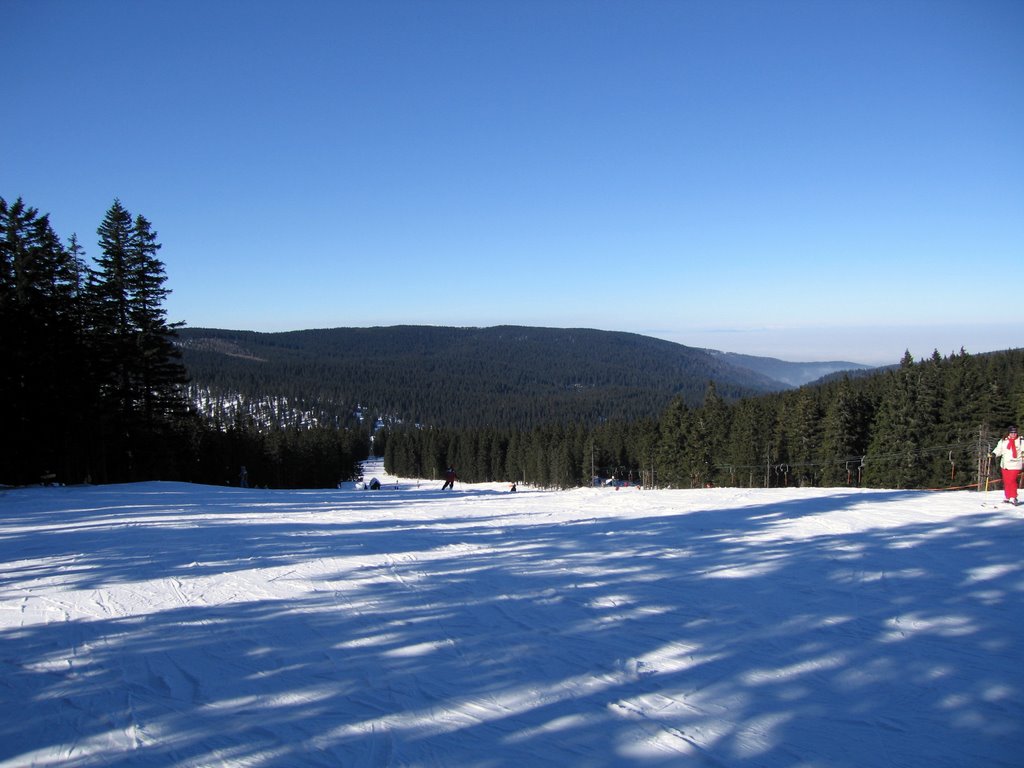 Mašinžaga slope, Rogla by Ivica i Jelena Vrsaljko