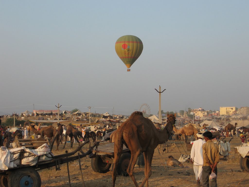 Pushkar Cattle Fair by Rajat Sogani