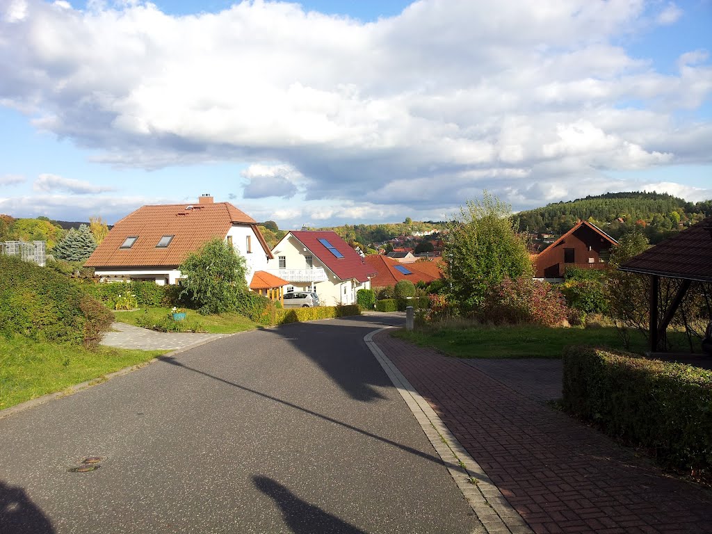 Promenadenweg, unterer Teil by Gerandalf