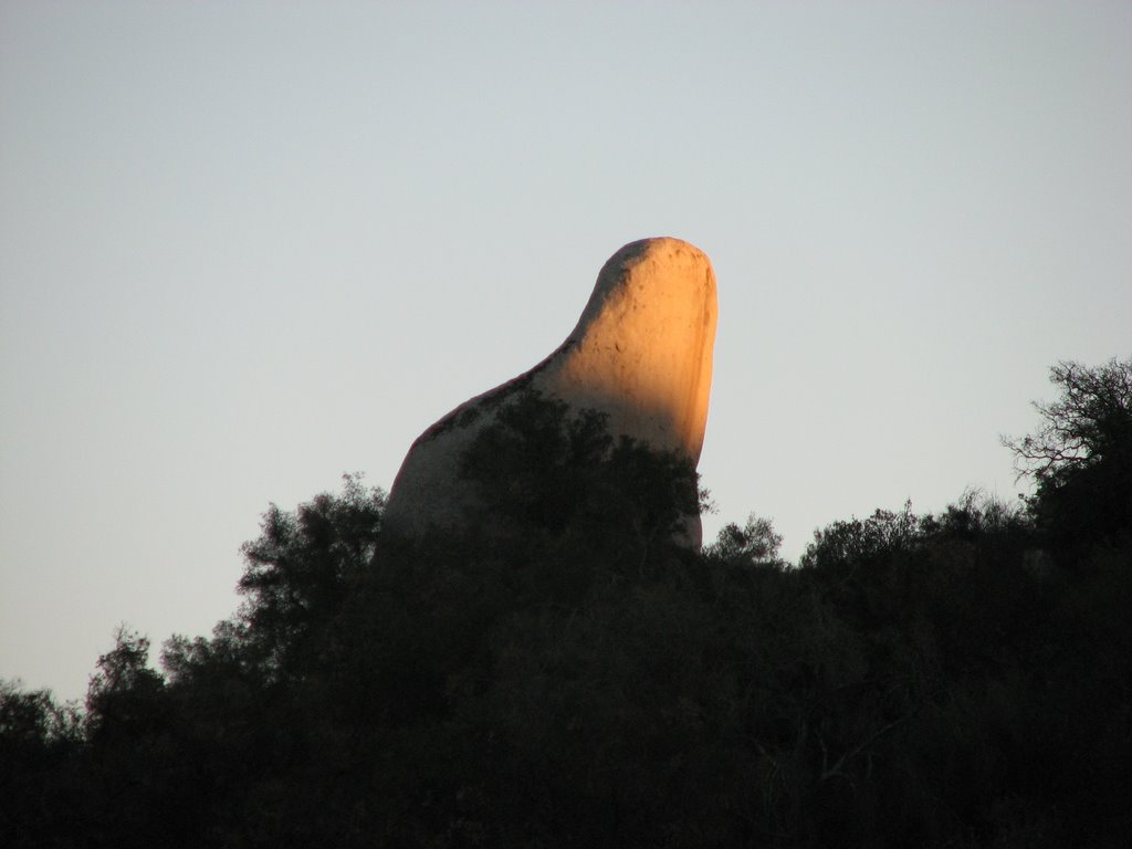 Foam Finger Rock by bearicksen