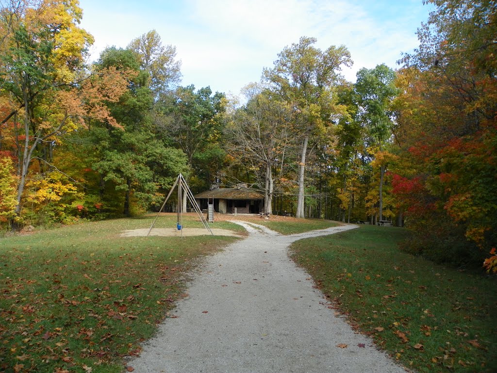 Salamonie State Forest by Mike Fromholt