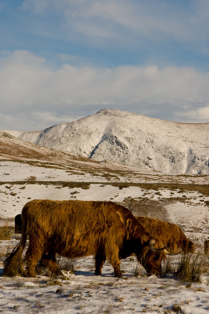 Near Kirkstone Pass by burak iscen