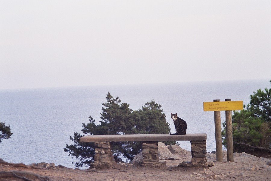 Ile de Porquerolles - Cap d'Arme, près du phare by Giorgio&Alda