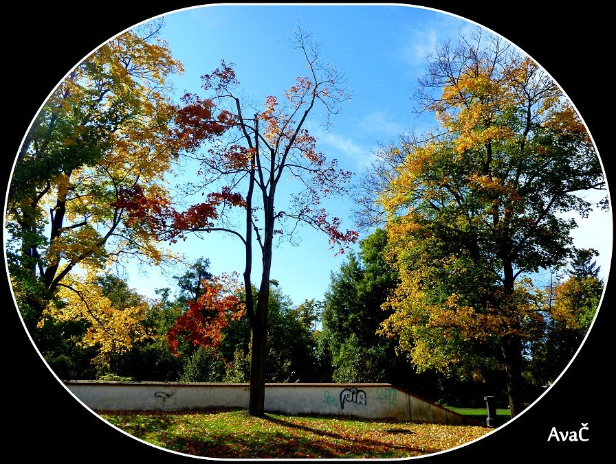 DOLNÍ POČERNICE - PARK by AvaČ