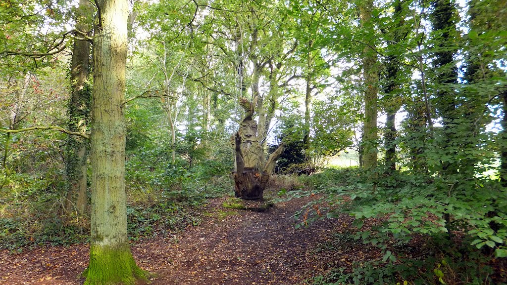 Little Budworth Country Park by muba