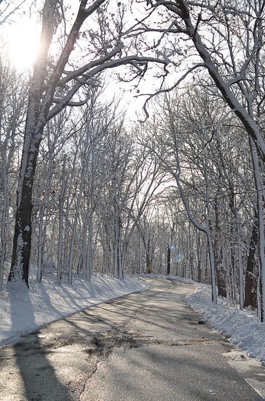 Road in Winter by 480sparky