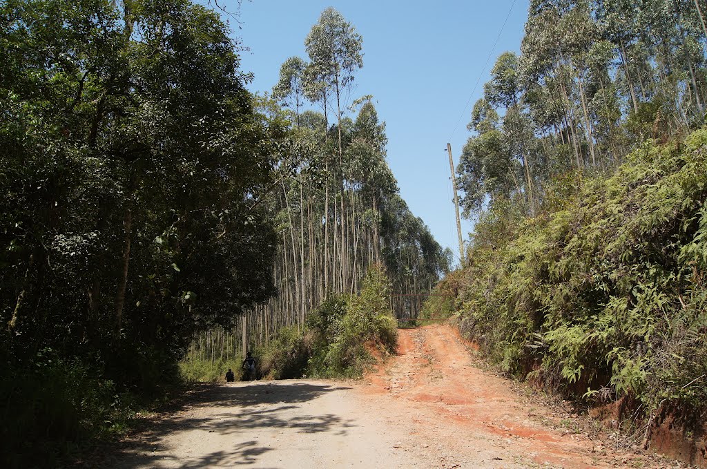 Estrada do Quilombo-Mogi das Cruzes/SP by Andre Pimentel