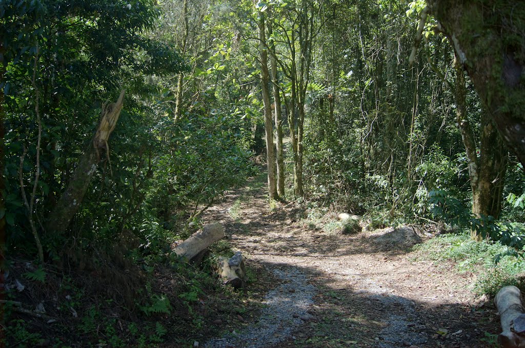 Fazenda do Quilombo-Mogi das Cruzes/SP by Andre Pimentel