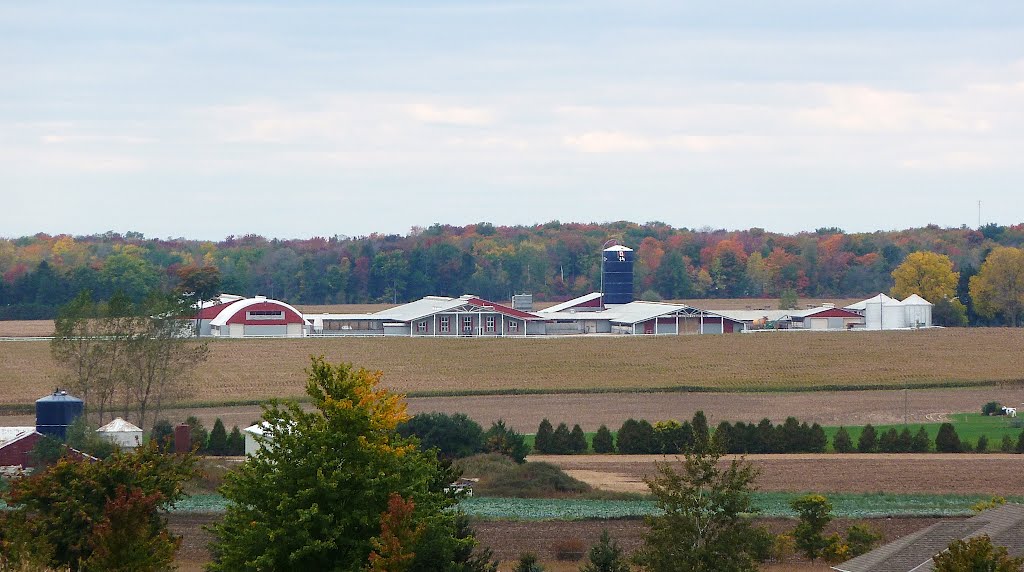 Farm with Fall Colers by Peter Giesbrecht