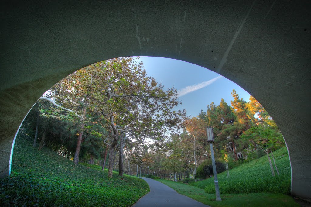 Tunnel Headed to Aldrich Park by jeffrymmartin