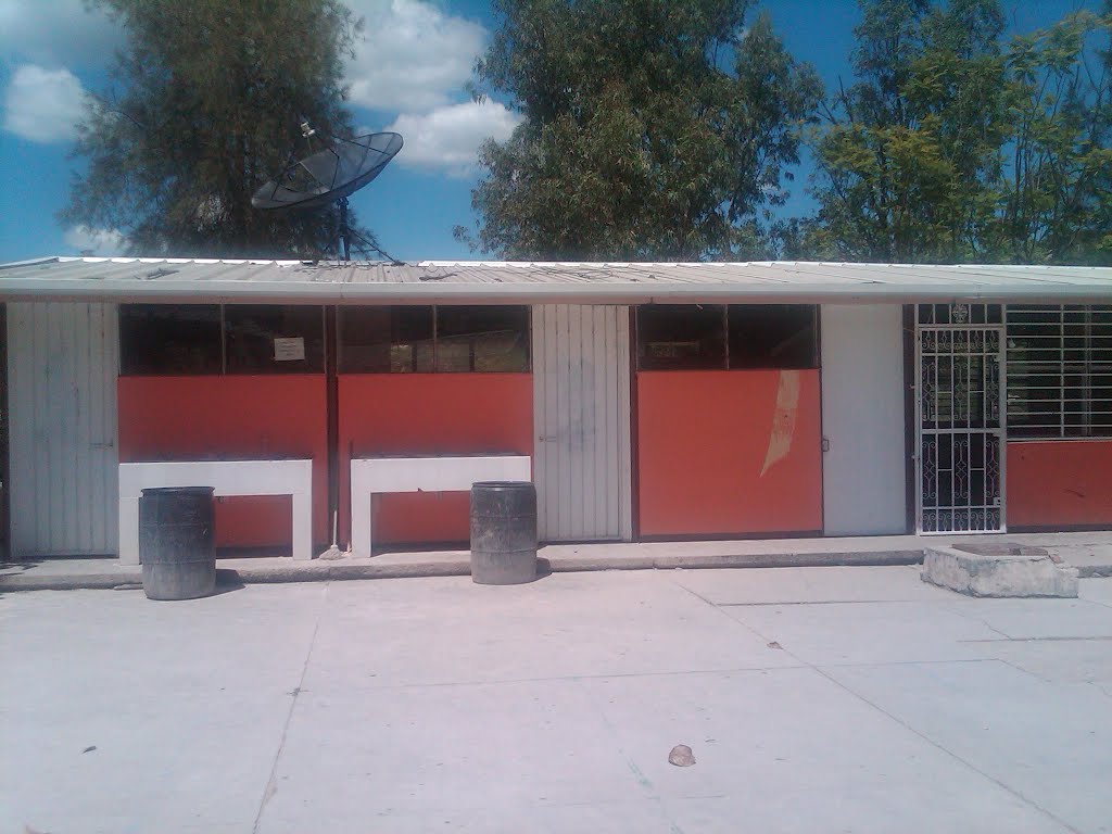 Escuela Secundaría Técnica Núm. 63 by Heri P. Salazar