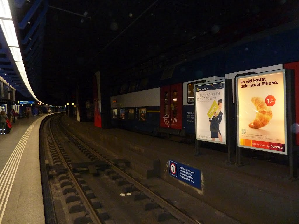 Zurich Airport Train Station by egrealish2010