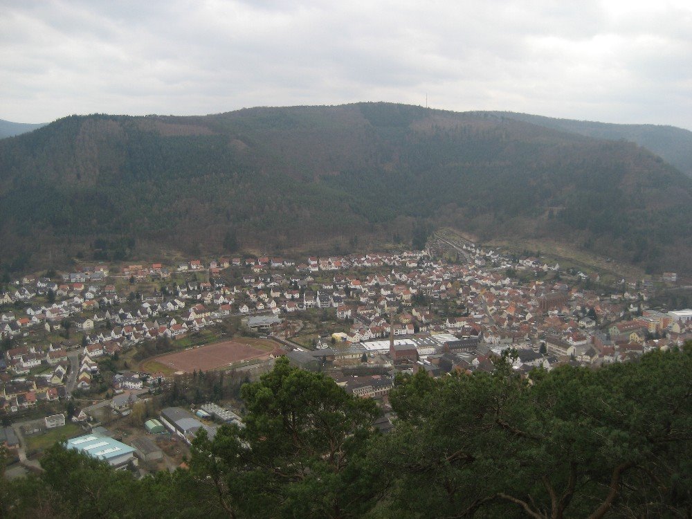 Blick auf Lambrecht by StefanL.