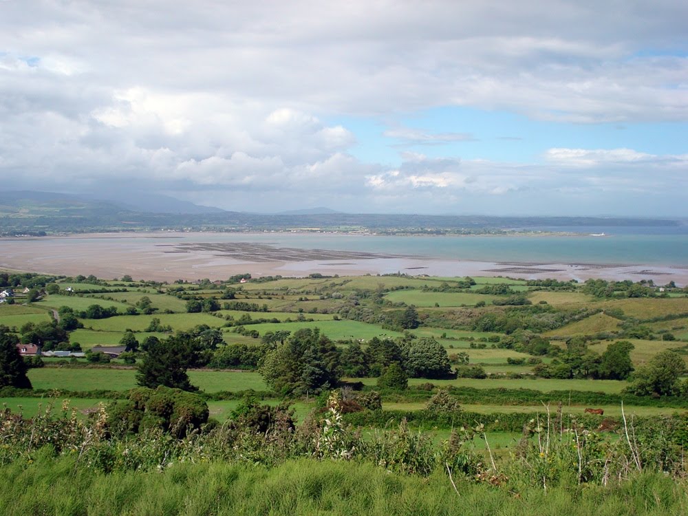 Ring Co Waterford by Rahally