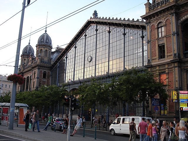 Nyugati Pu., Budapest by Arturo Gallia