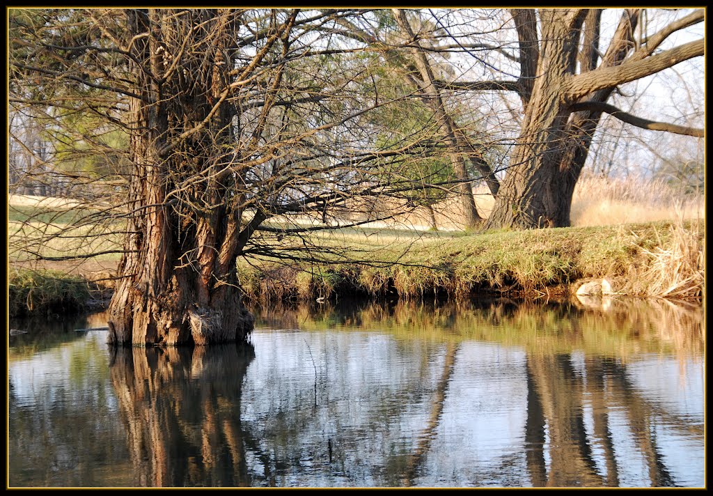 Park Lake by houseknight