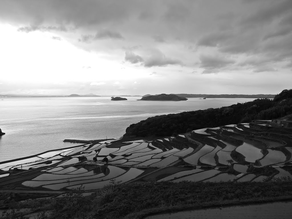 Japanese rice field 'Doya Tanada' by sako3098