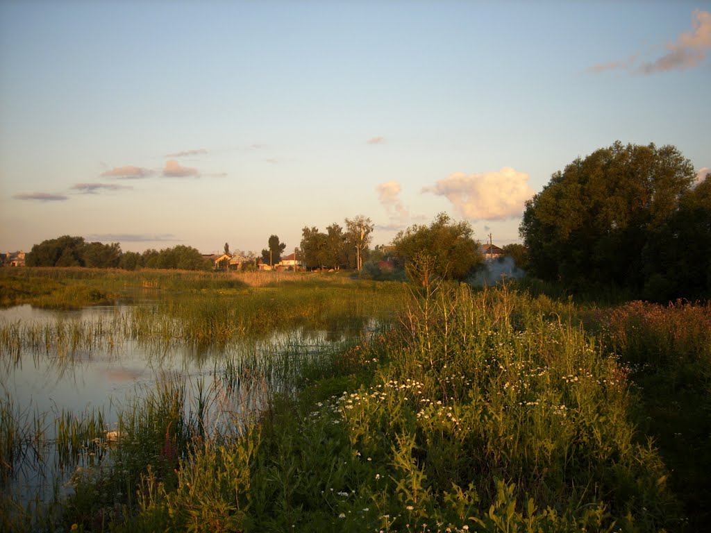 Novousmansky District, Voronezh Oblast, Russia by Н.  Крылов