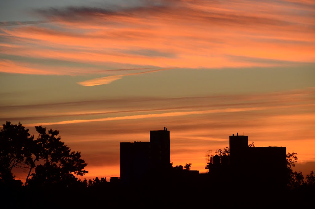 Sunrise over Central Park, Manhattan, New York, 10025 NY by Christophe Gevrey