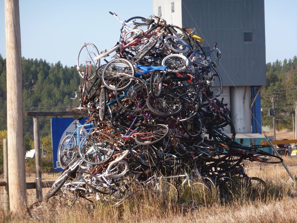 Pick a bike, any bike! by Steve-Delbridge