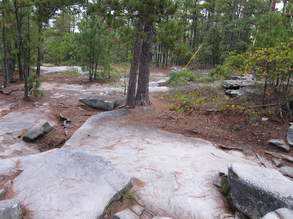 Stone Mountain Park Walk-Up Trail by bryanf