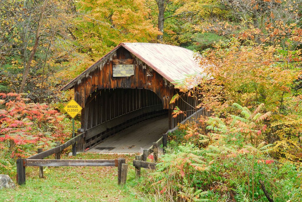 Blacksmith Covered Bridge by Wayne Wrights