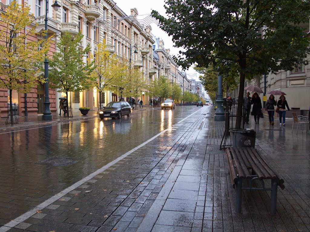 Vilnius, Gedemino str. by Sergej Chirkov