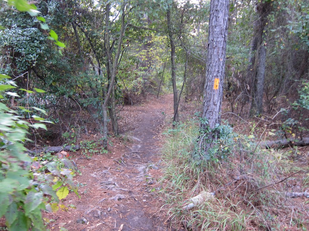 Stone Mountain Park Connecting Trail by bryanf