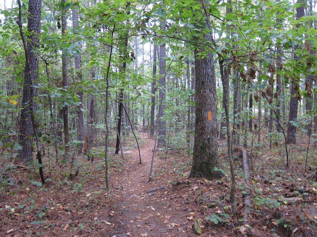 Stone Mountain Park Connecting Trail by bryanf