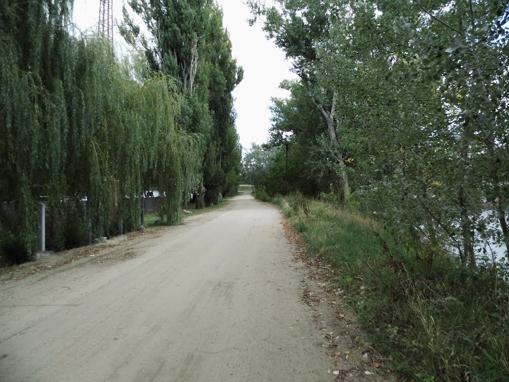 Sandy road by Istvan, Jr. Muhelyi