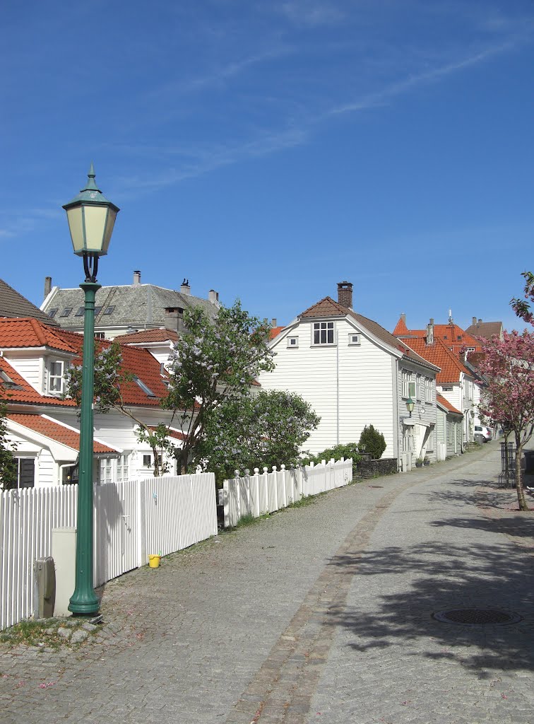 A beautiful street by Mona Lygre