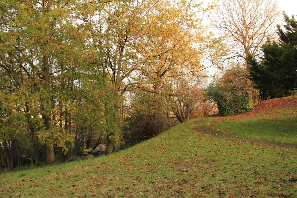 Woodside Park hillside by David Cameron Paisle…