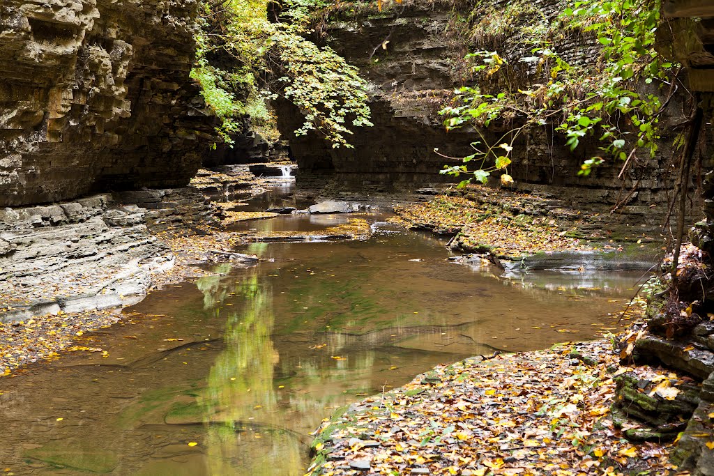 Watkins Glen, NY, USA by Tim Thomas