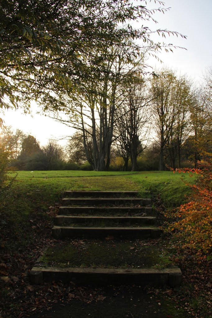 Woodside Park Behind the distant wall is woodsides gardence of remeberance. by David Cameron Paisle…