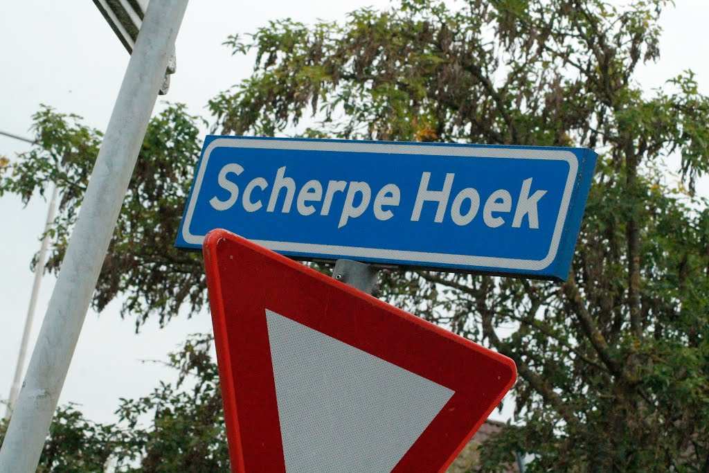 Scherpehoek by DDesleyy