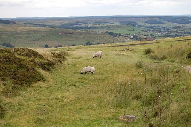 Blakey Ridge across the valley to Rosedale by Attila Hunn