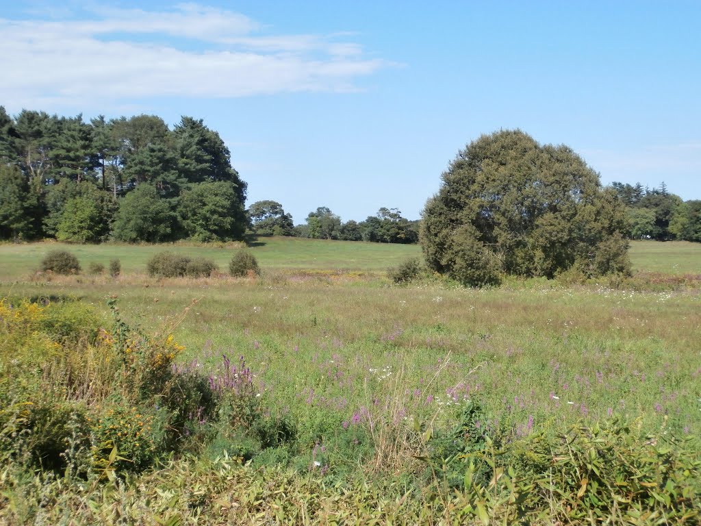 Farmland along Route 18 by chris1073