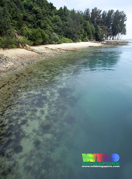 Sisters Island: great visibility! by riatan