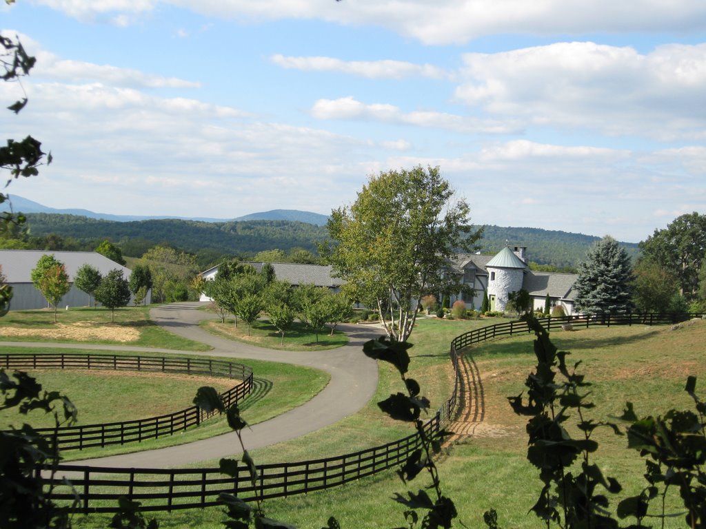 Off route 628 facing north by Idawriter