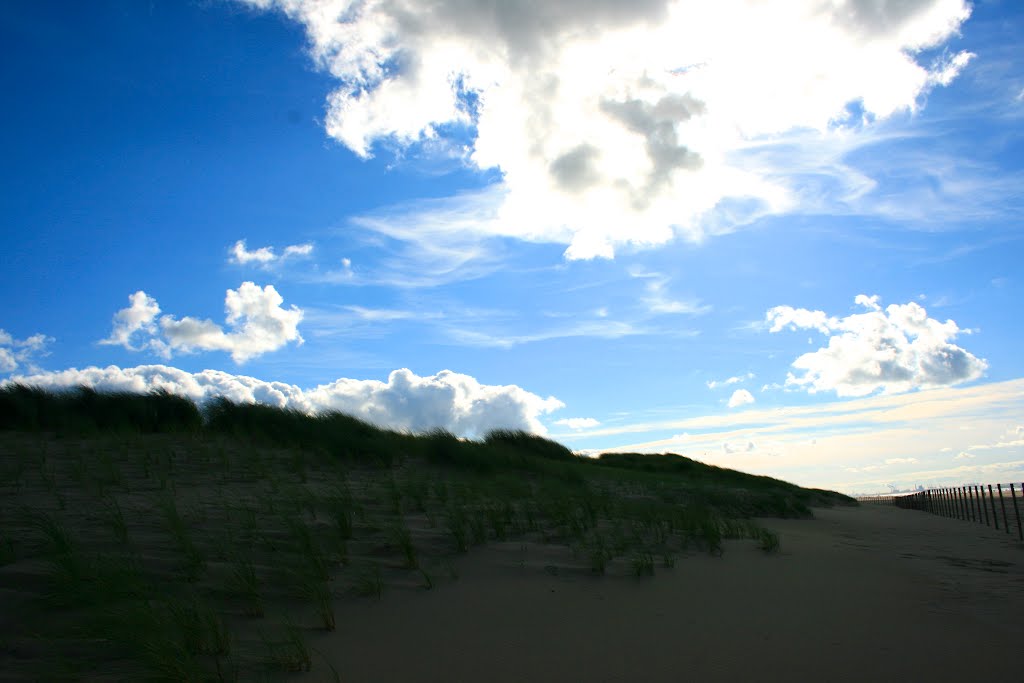 Helmgras, de duinen by eli van witsen