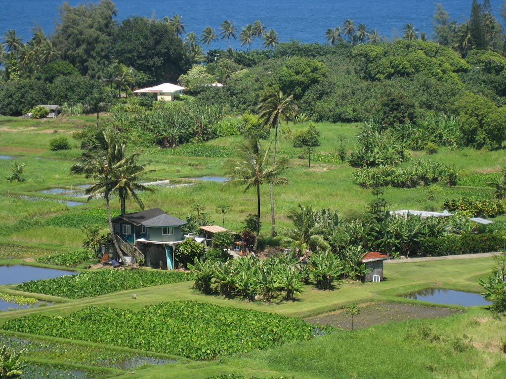 Península de Keanae by Migueleivissa