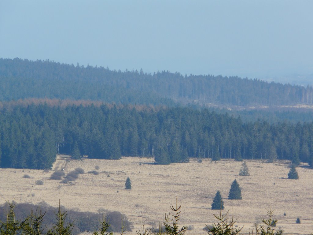 Les Fagnes (Signal de Botrange) février 2008 by xuavled