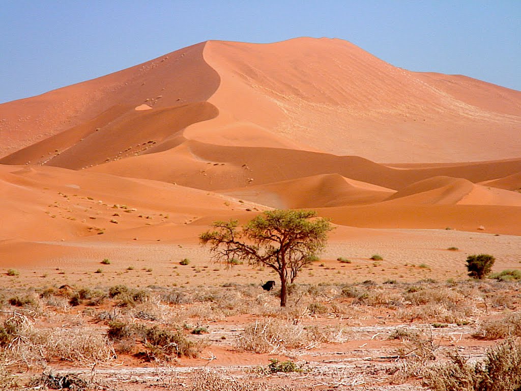 Namibia - Sossusvlei dunes by ZIPP