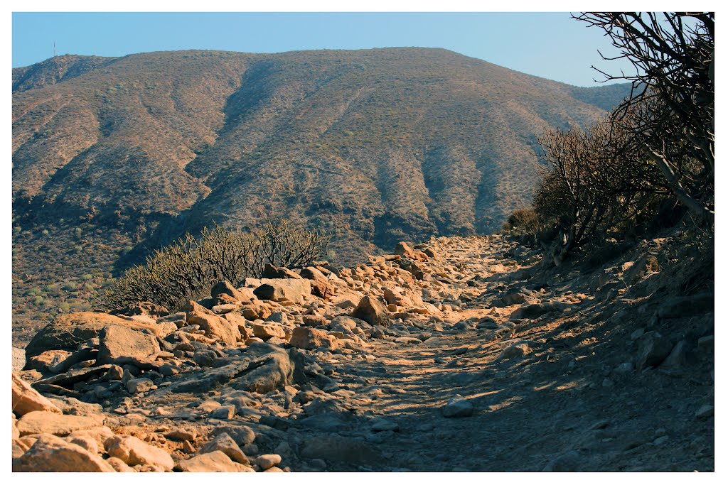 Subiendo La Montaña by anabolena