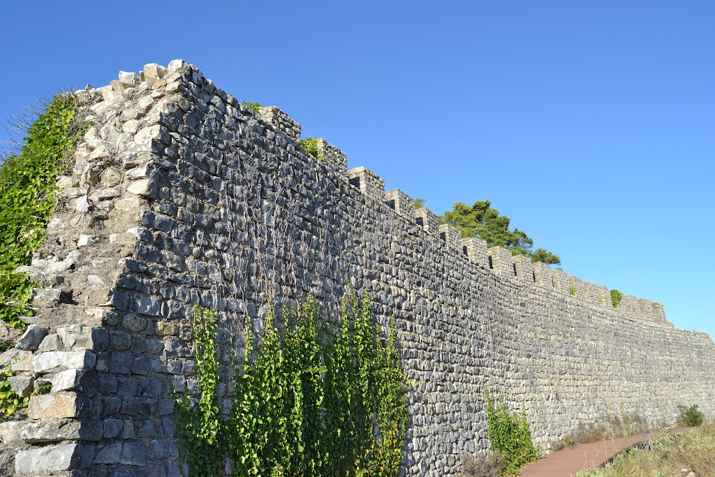 Muralha do Castelo de Germanelo em Penela - Portugal by Parruco