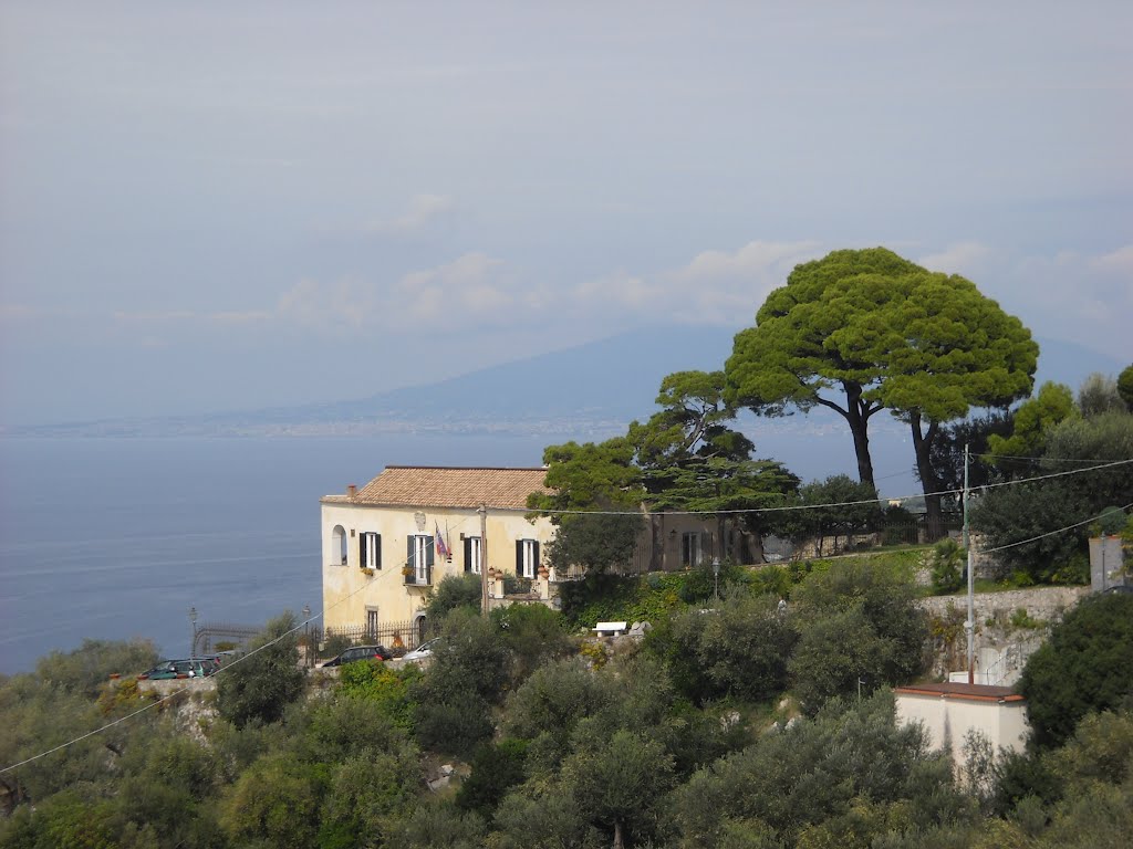 MASSALUBRENZE - ZONA ANNUNZIATA (VISTA VILLA DI MURAT) by Giuseppe Tokatlian