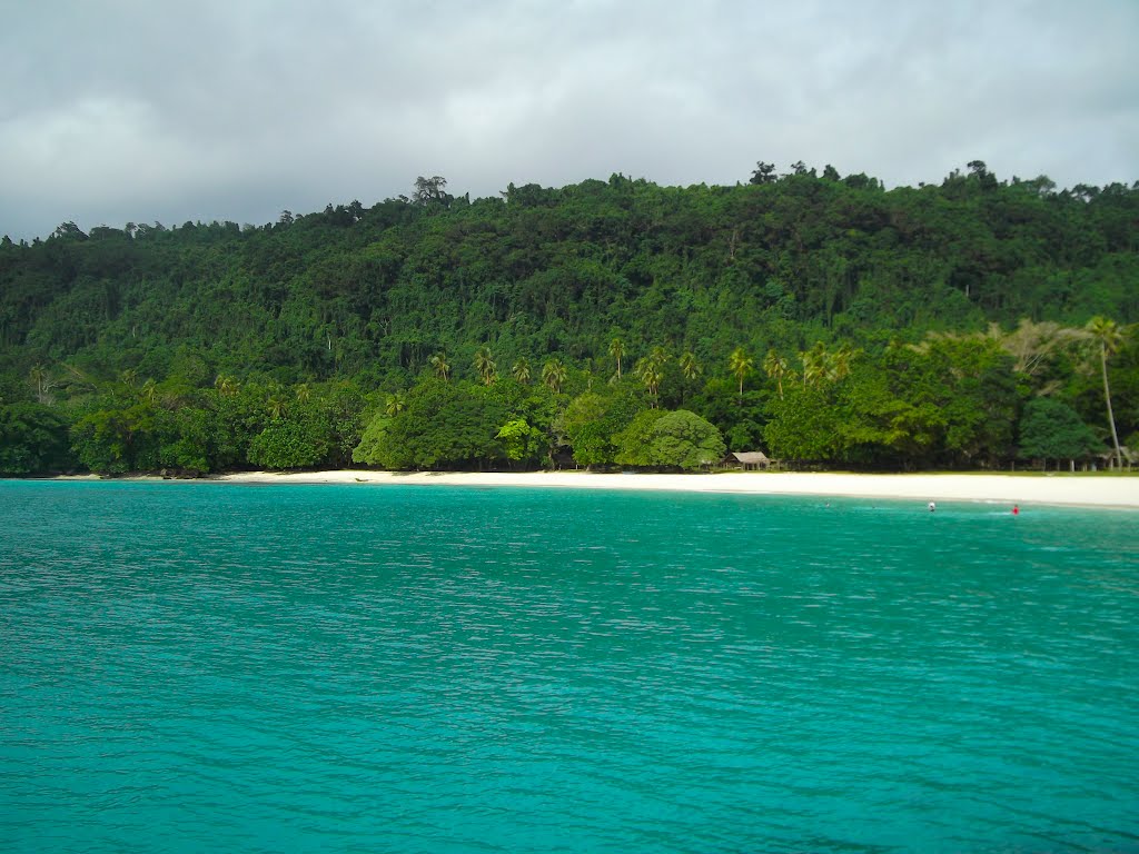 Champagne Beach by Nate18