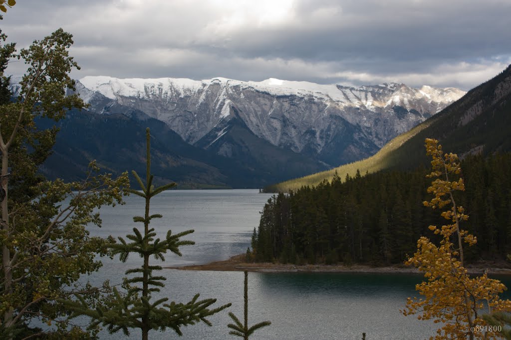 Lake Minnewanka In Fall by Jim Ding