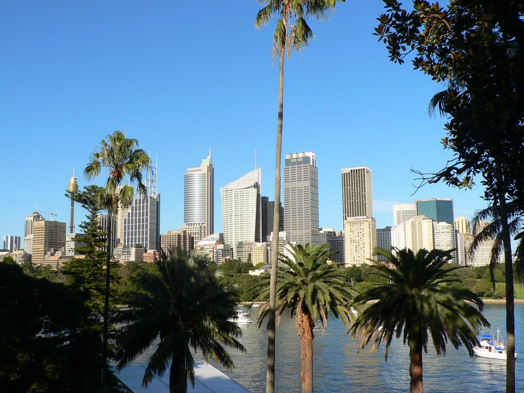 Sydney skyline from Lady Macquarie's Point by djrobd