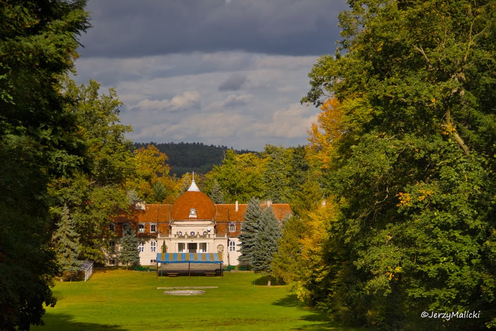 Park i pałac Glisno by Jerzy Malicki